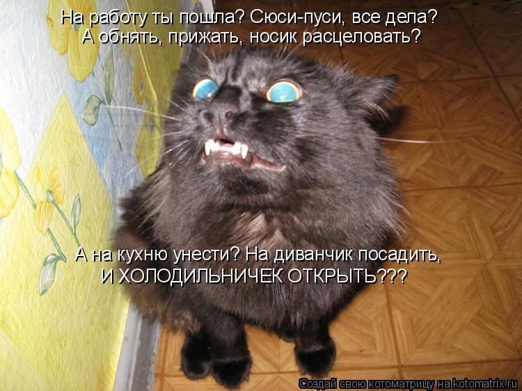 Котоматрица: На работу ты пошла? Сюси-пуси, все дела? А обнять, прижать, носик расцеловать? А на кухню унести? На диванчик посадить,  И ХОЛОДИЛЬНИЧЕК ОТКРЫТ