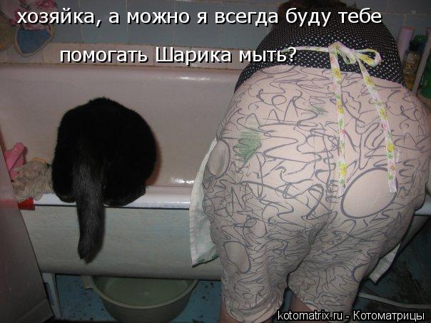 Котоматрица: хозяйка, а можно я всегда буду тебе  помогать Шарика мыть?
