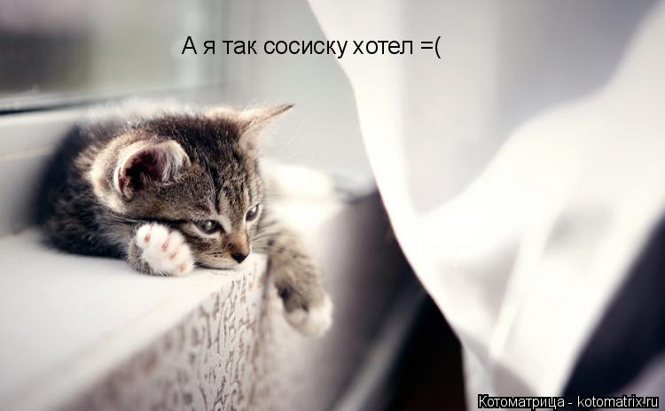 А я так сосиску хотел =(... Котоматрица: А я так сосиску хотел =(