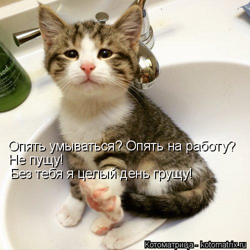 Опять умываться? Опять на работу? Не пущу! Без тебя я целый день грущу!... Котоматрица: Опять умываться? Опять на работу? Не пущу! Без тебя я целый день грущу!