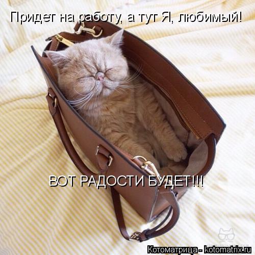 Придет на работу, а тут Я, любимый! ВОТ РАДОСТИ БУДЕТ!!!... Котоматрица: Придет на работу, а тут Я, любимый! ВОТ РАДОСТИ БУДЕТ!!!