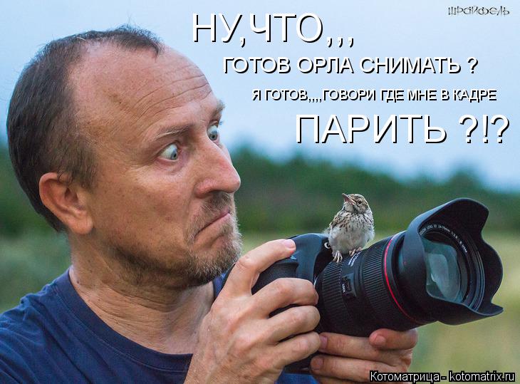 Котоматрица: НУ,ЧТО,,, ГОТОВ ОРЛА СНИМАТЬ ? Я ГОТОВ,,,,ГОВОРИ ГДЕ МНЕ В КАДРЕ  ПАРИТЬ ?!?