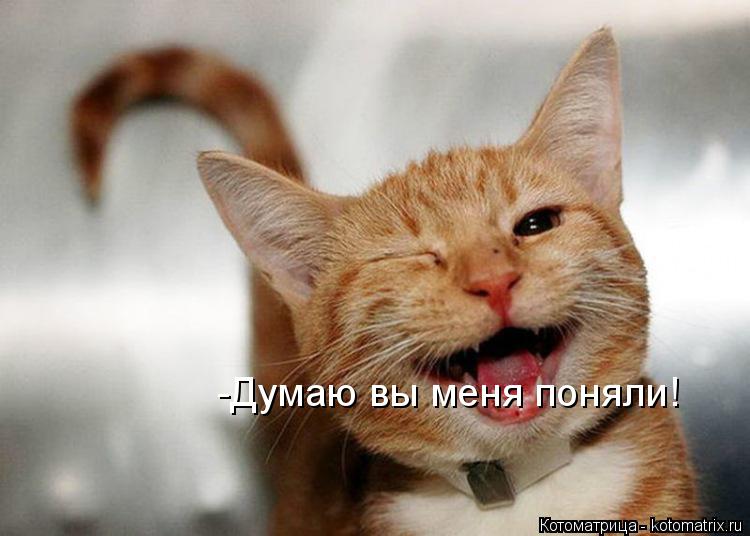 -Думаю вы меня поняли!... Котоматрица: -Думаю вы меня поняли!
