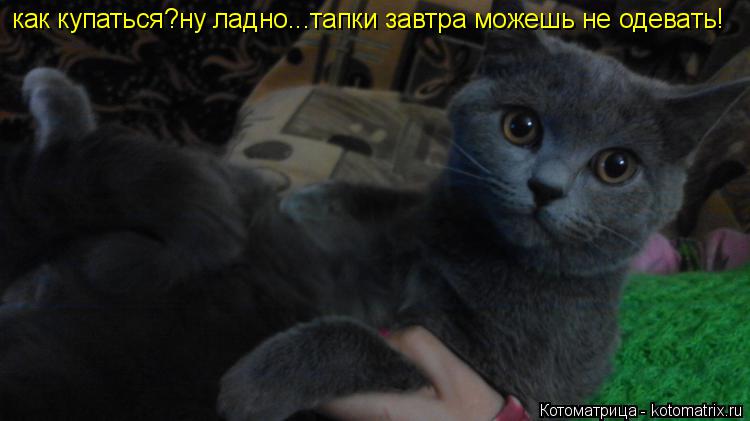 Котоматрица: как купаться?ну ладно...тапки завтра можешь не одевать!