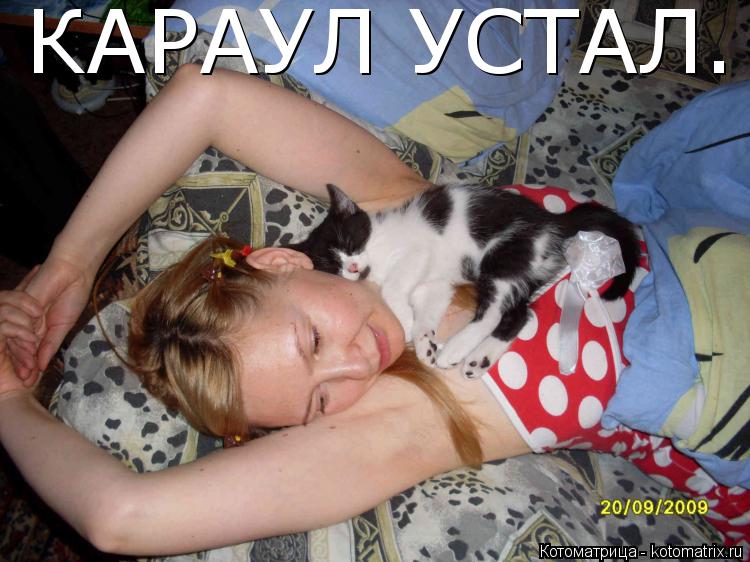 КАРАУЛ УСТАЛ.... Котоматрица: КАРАУЛ УСТАЛ.