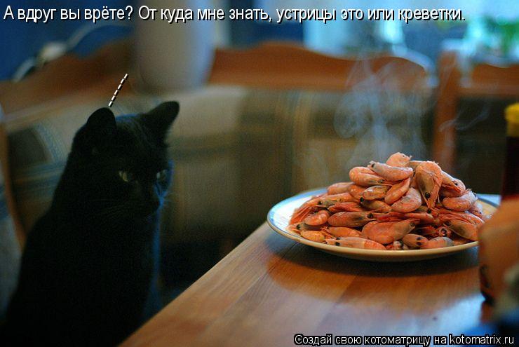 ------ А вдруг вы врёте? От куда мне знать, устрицы это или креветки.... Котоматрица: ------ А вдруг вы врёте? От куда мне знать, устрицы это или креветки.