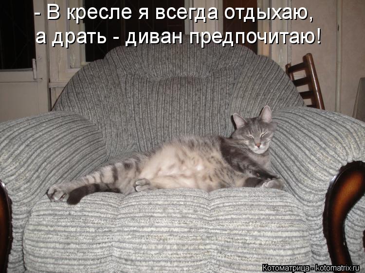 - В кресле я всегда отдыхаю, а драть - диван предпочитаю!... Котоматрица: - В кресле я всегда отдыхаю, а драть - диван предпочитаю!