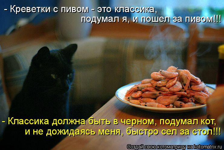 - Креветки с пивом - это классика, подумал я, и пошел за пивом!!! - Классика должна быть в черном, ... Котоматрица: - Креветки с пивом - это классика, подумал я, и пошел за пивом!!! - Классика должна быть в черном, подумал кот, и не дожидаясь меня, быстро сел з