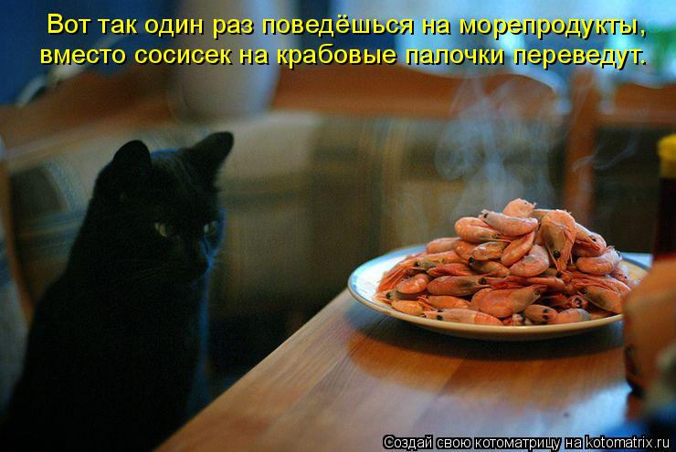 Вот так один раз поведёшься на морепродукты, вместо сосисек на крабовые палочки переведут.... Котоматрица: Вот так один раз поведёшься на морепродукты, вместо сосисек на крабовые палочки переведут.