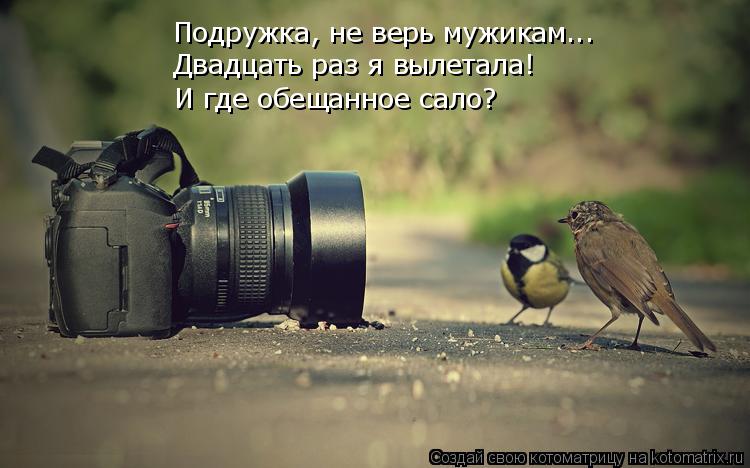 Подружка, не верь мужикам... И где обещанное сало? Двадцать раз я вылетала!... Котоматрица: Подружка, не верь мужикам... И где обещанное сало? Двадцать раз я вылетала!