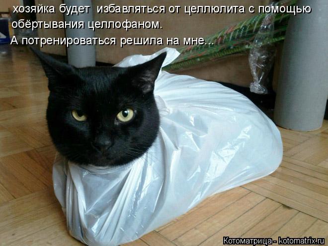 Котоматрица: хозяйка будет  избавляться от целлюлита с помощью обёртывания целлофаном. А потренироваться решила на мне...