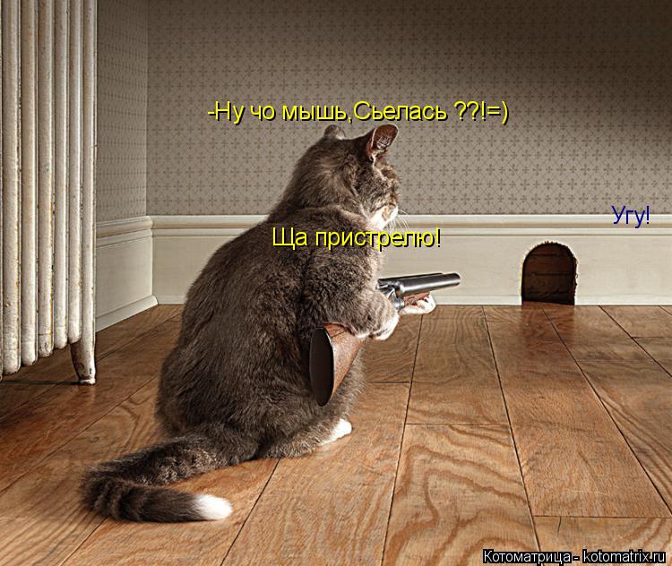 -Ну чо мышь,Сьелась ??!=) -Ну чо мышь,Сьелась ??!=) Угу! Ща пристрелю!... Котоматрица: -Ну чо мышь,Сьелась ??!=) -Ну чо мышь,Сьелась ??!=) Угу! Ща пристрелю!