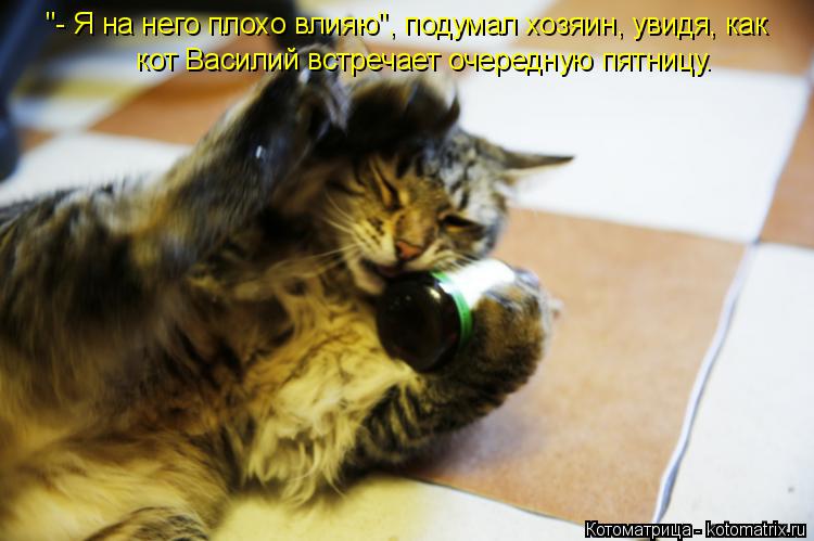 Котоматрица: "- Я на него плохо влияю", подумал хозяин, увидя, как   кот Василий встречает очередную пятницу.