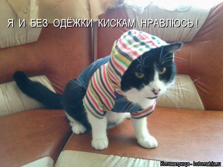 Я И БЕЗ ОДЁЖКИ КИСКАМ НРАВЛЮСЬ !... Котоматрица: Я И БЕЗ ОДЁЖКИ КИСКАМ НРАВЛЮСЬ !