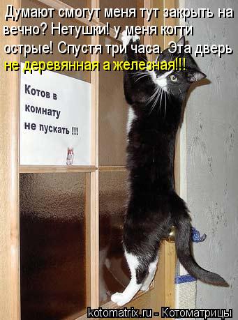 Думают смогут меня тут закрыть на вечно? Нетушки! у меня когти острые! Спустя три часа. Эта дверь не ... Котоматрица: Думают смогут меня тут закрыть на вечно? Нетушки! у меня когти острые! Спустя три часа. Эта дверь не деревянная а железная!!!