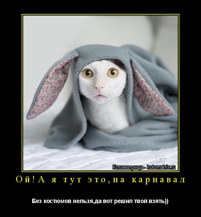 Котоматрица: Ой!А я тут это,на карнавал Без костюмов нельзя,да вот решил твой взять))