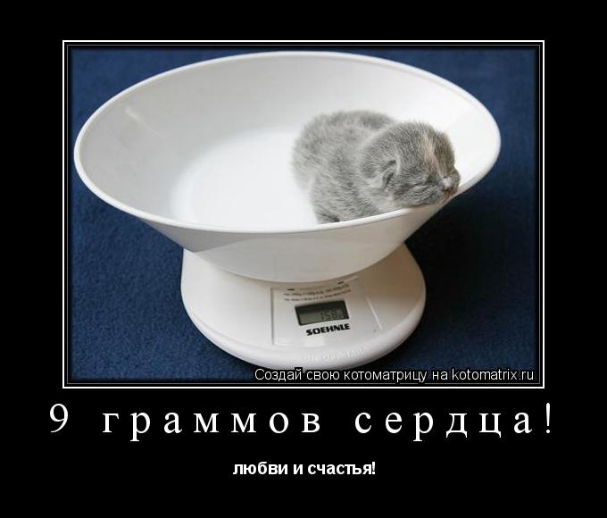 9 граммов сердца! любви и счастья!... Котоматрица: 9 граммов сердца! любви и счастья!