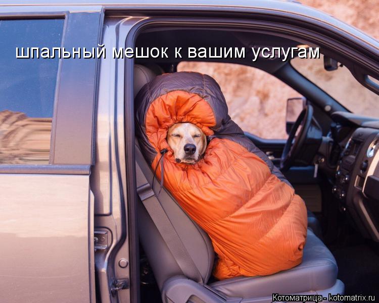 шпальный мешок к вашим услугам... Котоматрица: шпальный мешок к вашим услугам