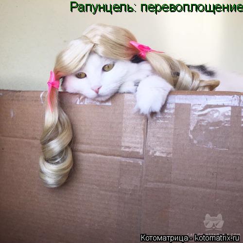 Котоматрица: Рапунцель: перевоплощение