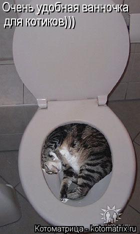 Котоматрица: Очень удобная ванночка для котиков)))