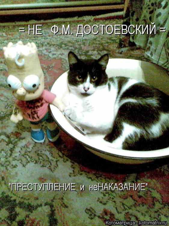 Котоматрица: = НЕ   Ф.М. ДОСТОЕВСКИЙ = "ПРЕСТУПЛЕНИЕ  и  неНАКАЗАНИЕ"