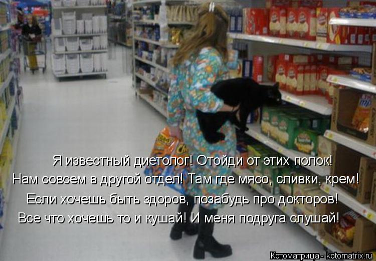 Котоматрица: Я известный диетолог! Отойди от этих полок! Нам совсем в другой отдел! Там где мясо, сливки, крем! Если хочешь быть здоров, позабудь про докто