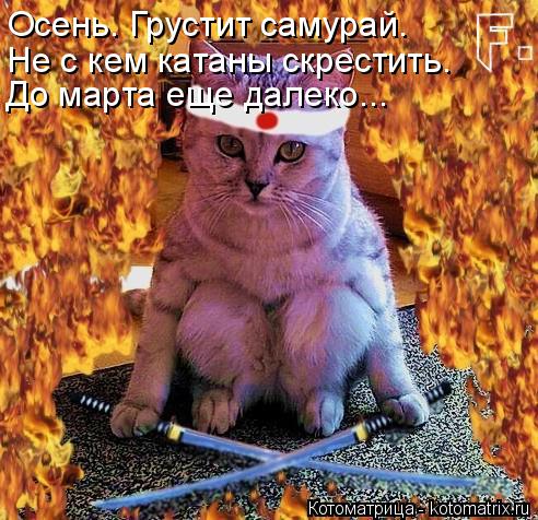 Котоматрица: Осень. Грустит самурай. Не с кем катаны скрестить. До марта еще далеко...