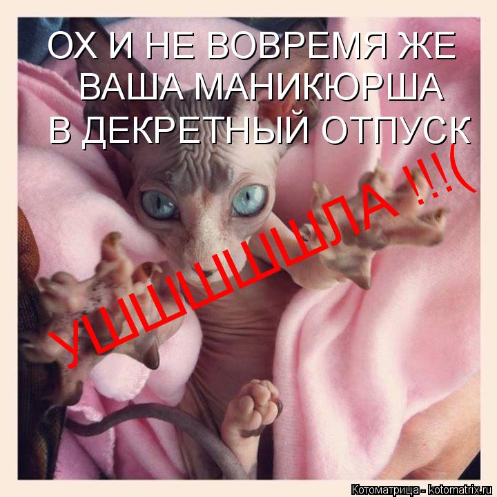Котоматрица: ОХ И НЕ ВОВРЕМЯ ЖЕ ВАША МАНИКЮРША В ДЕКРЕТНЫЙ ОТПУСК УШШШШШЛА !!!(