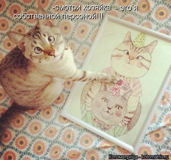 Котоматрица: -смотри хозяйка  это я - собственной персоной!!!
