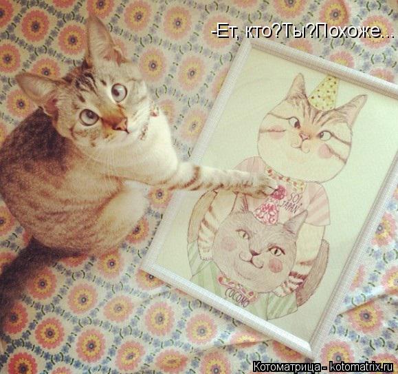 Котоматрица: -Ет, кто?Ты?Похоже...