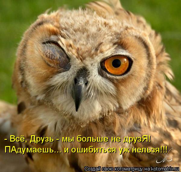 Котоматрица: - Всё, Друзь - мы больше не друзЯ! ПАдумаешь... и ошибиться уж нельзя!!!