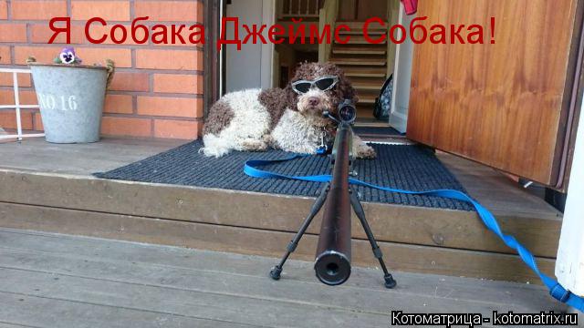 Котоматрица: Я Собака Джеймс Собака! Я Собака Джеймс Собака!