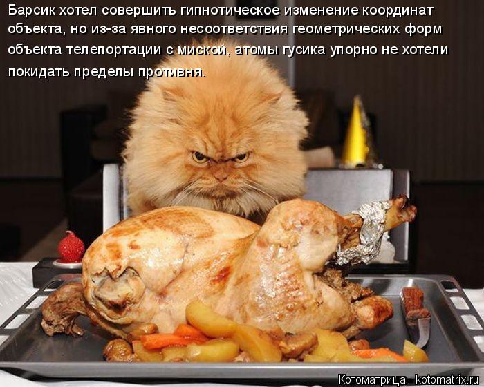 Барсик хотел совершить гипнотическое изменение координат объекта, но из-за явного несоответствия геом... Котоматрица: Барсик хотел совершить гипнотическое изменение координат объекта, но из-за явного несоответствия геометрических форм объекта телепортац