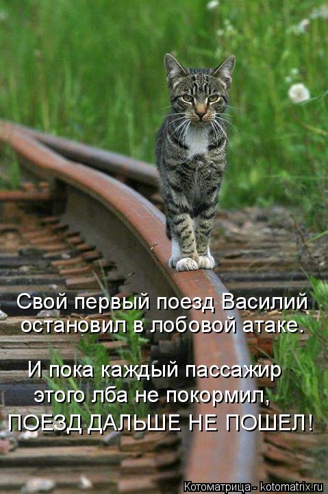 Котоматрица: Свой первый поезд Василий остановил в лобовой атаке. И пока каждый пассажир этого лба не покормил, ПОЕЗД ДАЛЬШЕ НЕ ПОШЕЛ!
