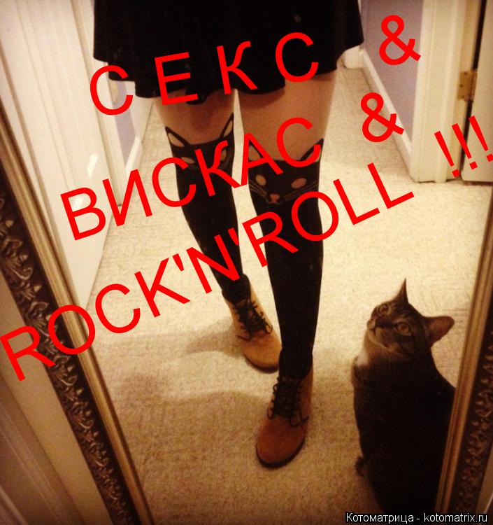 Котоматрица: С Е К С   & ВИСКАС  & ROCK'N'ROLL  !!!