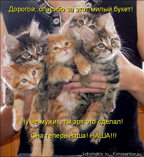 Ну че мужик, ты зря это сделал! Дорогой, спасибо за этот милый букет! Она теперь наша! НАША!!!... Котоматрица: Ну че мужик, ты зря это сделал! Дорогой, спасибо за этот милый букет! Она теперь наша! НАША!!!