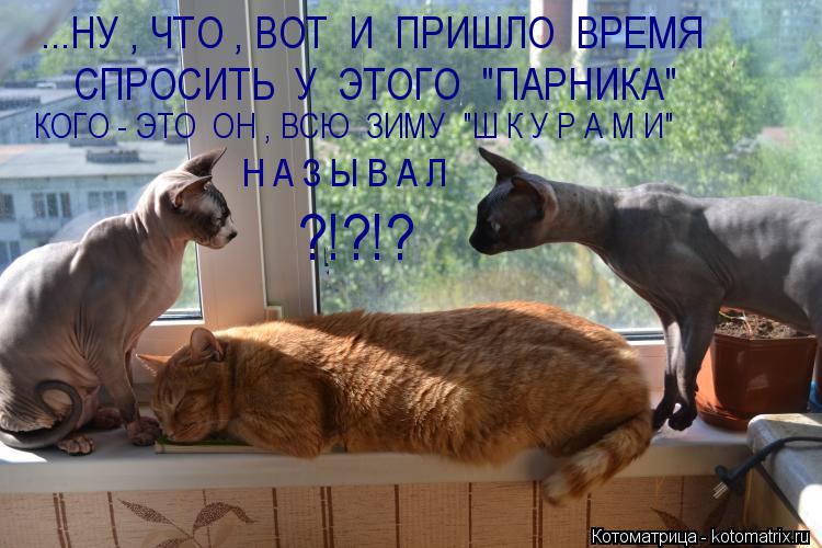 Котоматрица: Н А З Ы В А Л ?!?!? ...НУ , ЧТО , ВОТ  И  ПРИШЛО  ВРЕМЯ СПРОСИТЬ  У  ЭТОГО  "ПАРНИКА" КОГО - ЭТО  ОН , ВСЮ  ЗИМУ  "Ш К У Р А М И"