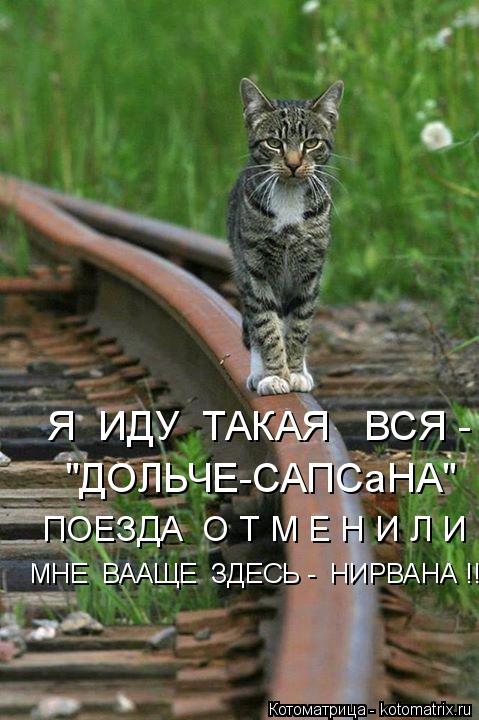 Котоматрица: Я  ИДУ  ТАКАЯ   ВСЯ - "ДОЛЬЧЕ-САПСаНА" МНЕ  ВААЩЕ  ЗДЕСЬ -  НИРВАНА !!! ПОЕЗДА  О Т М Е Н И Л И  -