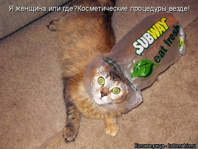Котоматрица: Я женщина или где?Косметические процедуры везде!