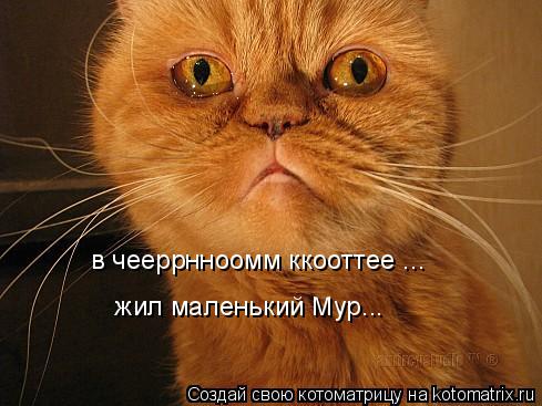 Котоматрица: в чееррннооммм в чееррнноомм ккооттее ...  в чееррнноомм ккооттее ...  жил маленький Мур... жил маленький Мур...