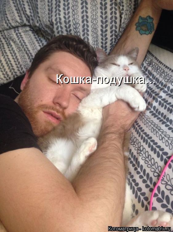 Котоматрица: Кошка-подушка...