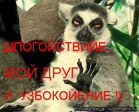 Котоматрица: И  УЗБОКОЙЕНИЕ !) ШПОГОЙСТВИЙЕ , МОЙ ДРУГ