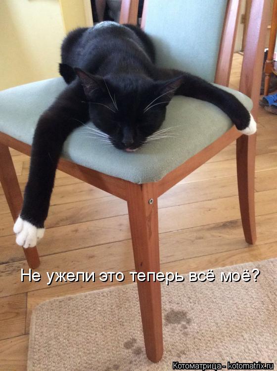 Котоматрица: Не ужели это теперь всё моё?