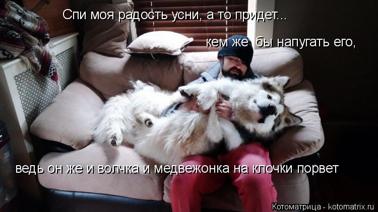 Спи моя радость усни, а то придет... кем же бы напугать его, ведь он же и волчка и медвежонка на кло... Котоматрица: Спи моя радость усни, а то придет... кем же бы напугать его, ведь он же и волчка и медвежонка на клочки порвет