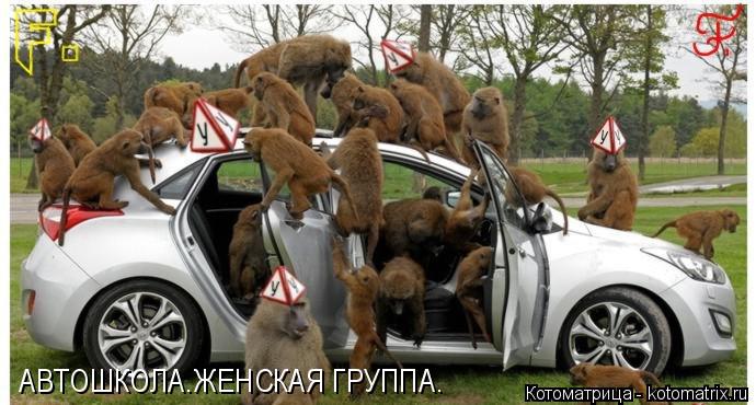 Котоматрица: АВТОШКОЛА.ЖЕНСКАЯ ГРУППА.