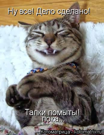 Котоматрица: Ну все! Дело сделано! Тапки помыты! пока...