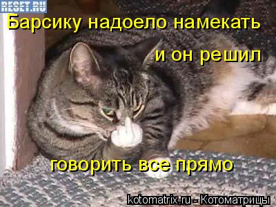 Котоматрица: Барсику надоело намекать  и он решил  говорить все прямо