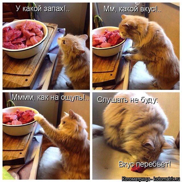Котоматрица: У какой запах!.. Мммм, как на ощупь!.. Мм, какой вкус!.. Слушать не буду: Вкус перебьёт!