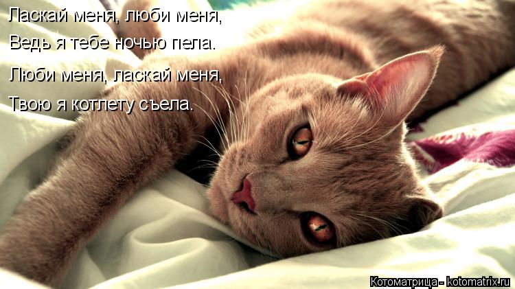Котоматрица: Ласкай меня, люби меня, Ведь я тебе ночью пела. Люби меня, ласкай меня, Твою я котлету съела.