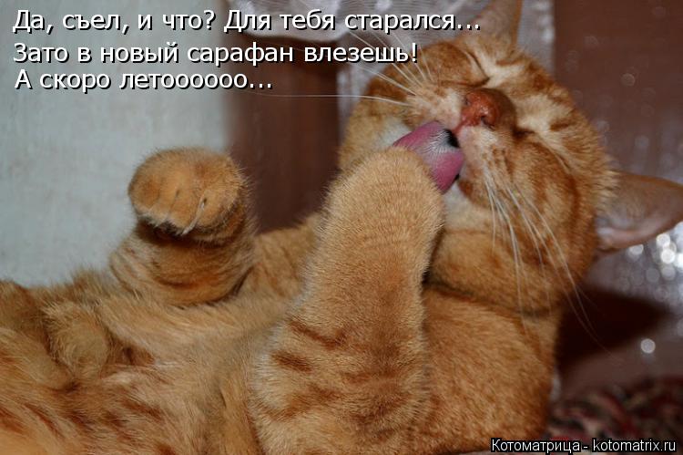 Котоматрица: Зато в новый сарафан влезешь! А скоро летоооооо... Да, съел, и что? Для тебя старался...